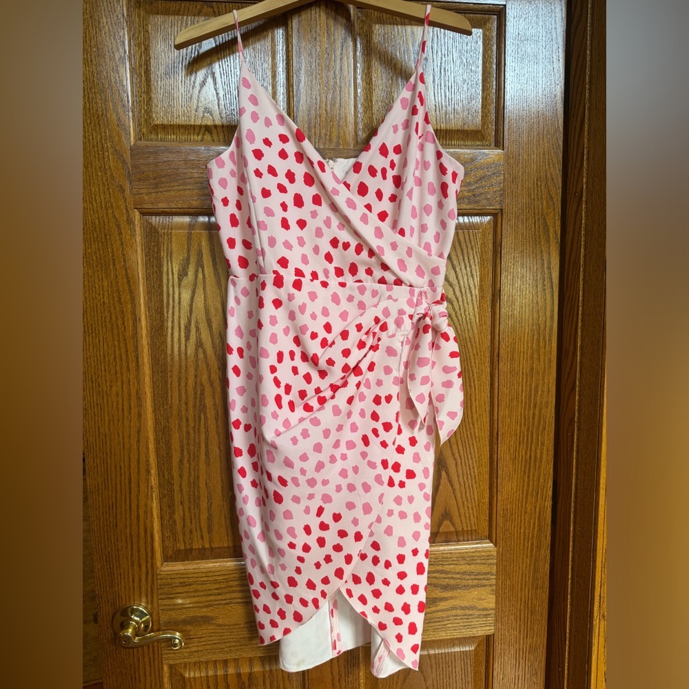 BCBG Pink and Red Print Dress